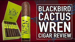 Blackbird Cactus Wren Cigar Review