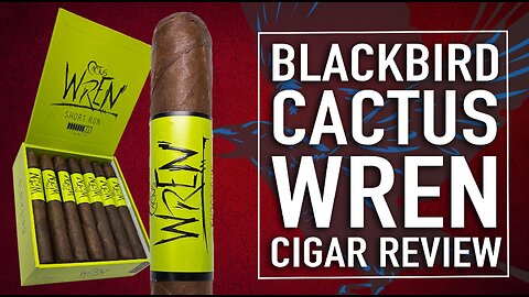 Blackbird Cactus Wren Cigar Review