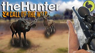 My Dear Deer (sambar edition) Hunt Club Beta | theHunter: Call of the Wild (PS5 4K 60FPS)