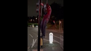 A vigilante group known as the "Blade Runners" is dismantling ULEZ cameras in London.