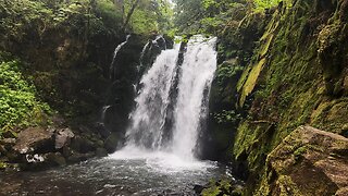 EXPLORING THE EPIC & GORGEOUS Majestic Falls Zone! | McDowell Creek County Park | Oregon | 4K