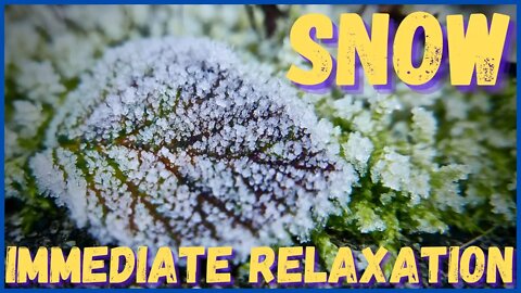 Sound of relaxing snow! Rest in 1 minute! Sleep immediately, relax, meditate, pray, study!