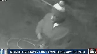 Search underway for Tampa burglary suspect