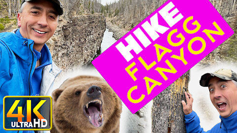 Hiking Flagg Canyon Yellowstone Grand Teton Grizzly Bears (4k UHD)