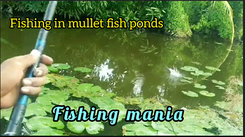 Fishing mania
