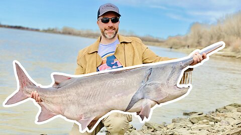 Catching Massive Prehistoric Dinosaur Fish in North Dakota on the Upper Missouri River System!