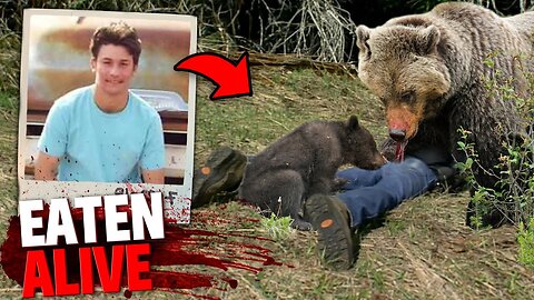 A mining worker is eaten alive by this mother bear and her cubs!