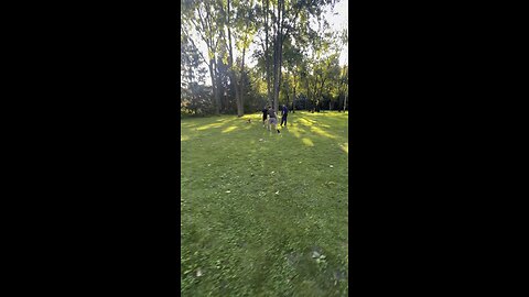 fight breaks out in a public park