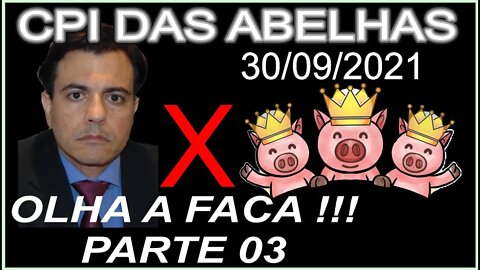 CPI das Abelhas - Otavio Fakhoury - Parte 03