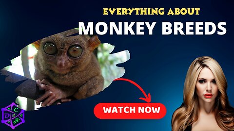 Top 10 Monkey Breeds: Fascinating Species You Need to Know