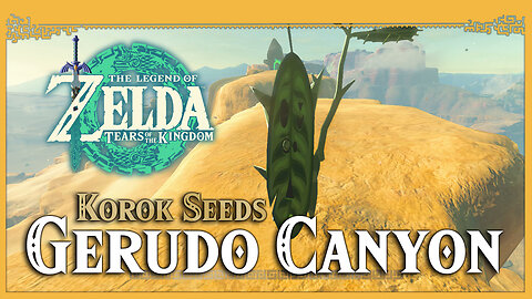 Gerudo Canyon Korok Seeds • Zelda Tears of the Kingdom TOTK