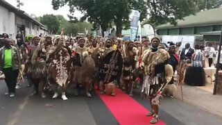 KZN Sopa: Zulu regiment member