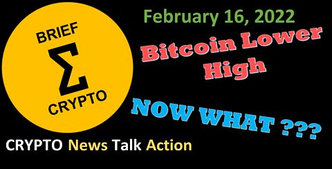 BriefCrypto News Talk Action 14 Feb BTC ETH ADA SOL XRP DOT MATIC AVAX ATOM