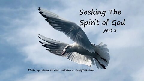 Seeking the Spirit of God, part 8