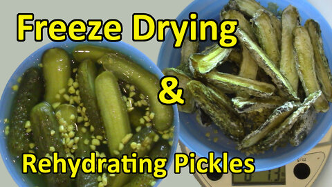 Freeze Drying and Rehydrating Pickles