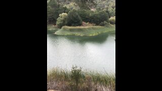 Around Briones Reservoir