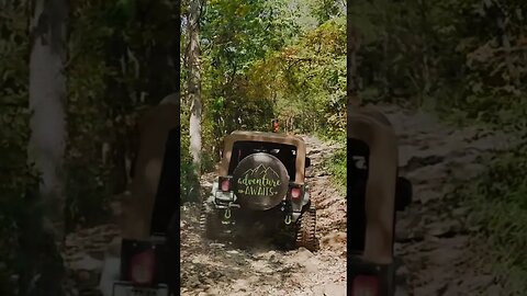 Jeep badge of honor Trail head to Cougars Crossing #shorts #jeep #4x4 #trail #jeepbadgeofhonor