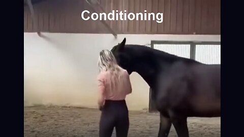 Conditioning