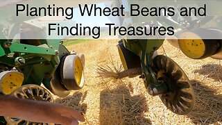 Planting Wheat Beans and Finding Treasures