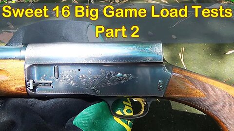16 Gauge Buckshot Range Tests Part 2! Browning Sweet 16.