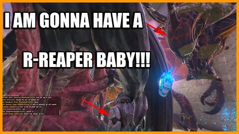 THIS SERVER WAS HANDING OUT R-REAPERS!!! | ARK OFFICIAL ep 6