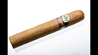 Verdadero Organic Robusto Cigar Review