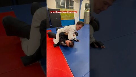 SENSEI takes GROUND and POUND | defence and survival | BJJ Jiujitsu self defence