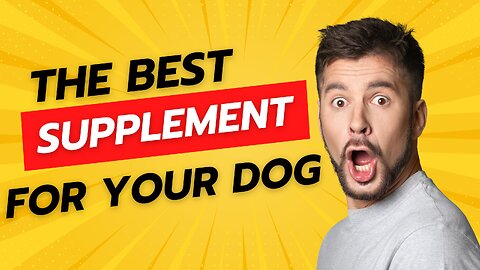 Best Healthy Dog Food - Meet Ultra K9 Pro - Supplement for Dog