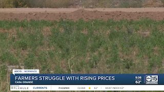 Growing costs leading to struggles for Casa Grande farm