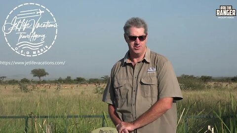 Join Rob The Ranger On A Kenyan Safari In 2023!!!! | Jetlife Vacations