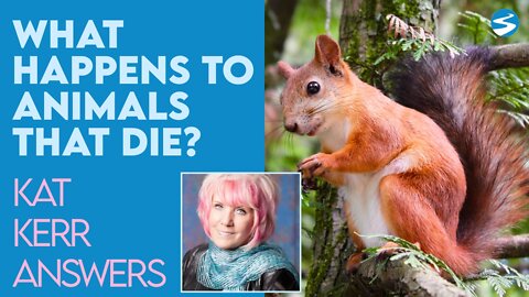 Kat Kerr: What Happens To Animals That Die In Nature? | Aug 18 2021