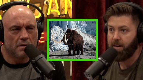 Joe Rogan: The Company Trying To CLONE Woolly Mammoths