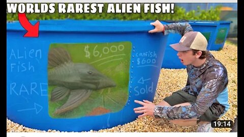 I Bought the World’s RAREST Alien Fish!