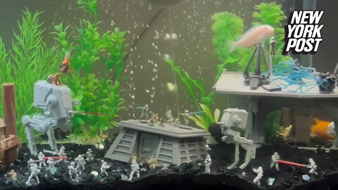 'Star Wars' fish tank decor is a 30-year-old fanboy's dream