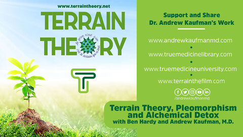 Terrain Theory, Pleomorphism and Alchemical Detox with Ben Hardy and Andrew Kaufman, M.D.