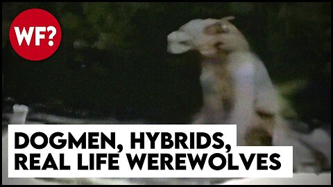 Dogmen, Hybrids, The Beast of Bray Road | True Stories of Werewolves