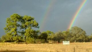 Double Rainbow