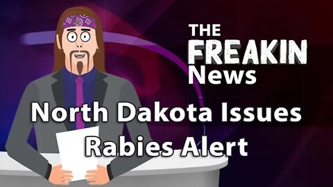 North Dakota Issues Rabies Alert After Woman Walks Into Bar With A Racoon