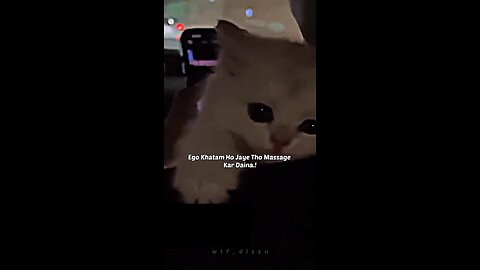 How cute Cat 🥹♥️ #Cat #rumble #viral #video #fyp