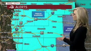 Freeze warning tonight (cover plants), some rain tomorrow