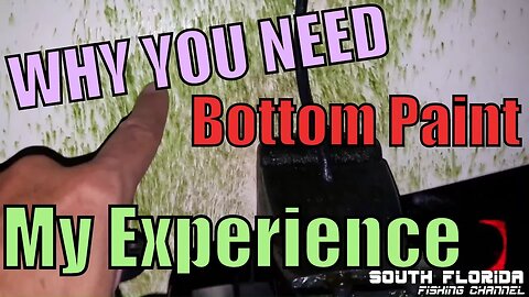 Why your boat needs bottom paint! My experience