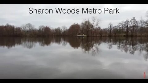 Social Distance at Sharon Woods