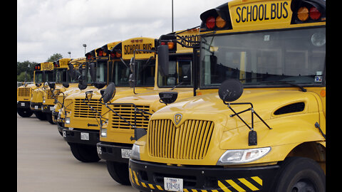 These are Michigan school bus laws and safety tips ahead of kids going back to school