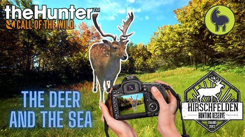 Jäger- The Deer and the Sea, Hirschfelden | theHunter: Call of the Wild (PS5 4K)