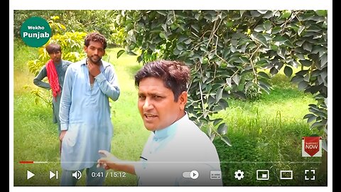 Amazing Fruits Garden In Punjab | Pakistani Awesome Fruit | Agriculture Farming Fruits Technology