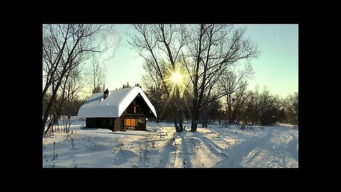 Snowfall Winter | Free Stock Footage | HD Video