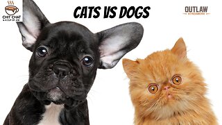 Cats vs. Dogs