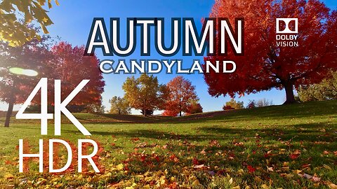 Dolby Vision HDR Nature Video - "Autumn In CandyLand" - Dream A Little Dream Too