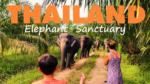 New Elephant Sanctuary In Krabi Thailand. Great For Families.