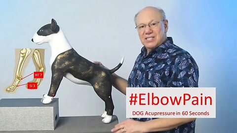Doggy Comfort 101: Acupressure Technique to Soothe Elbow Pain